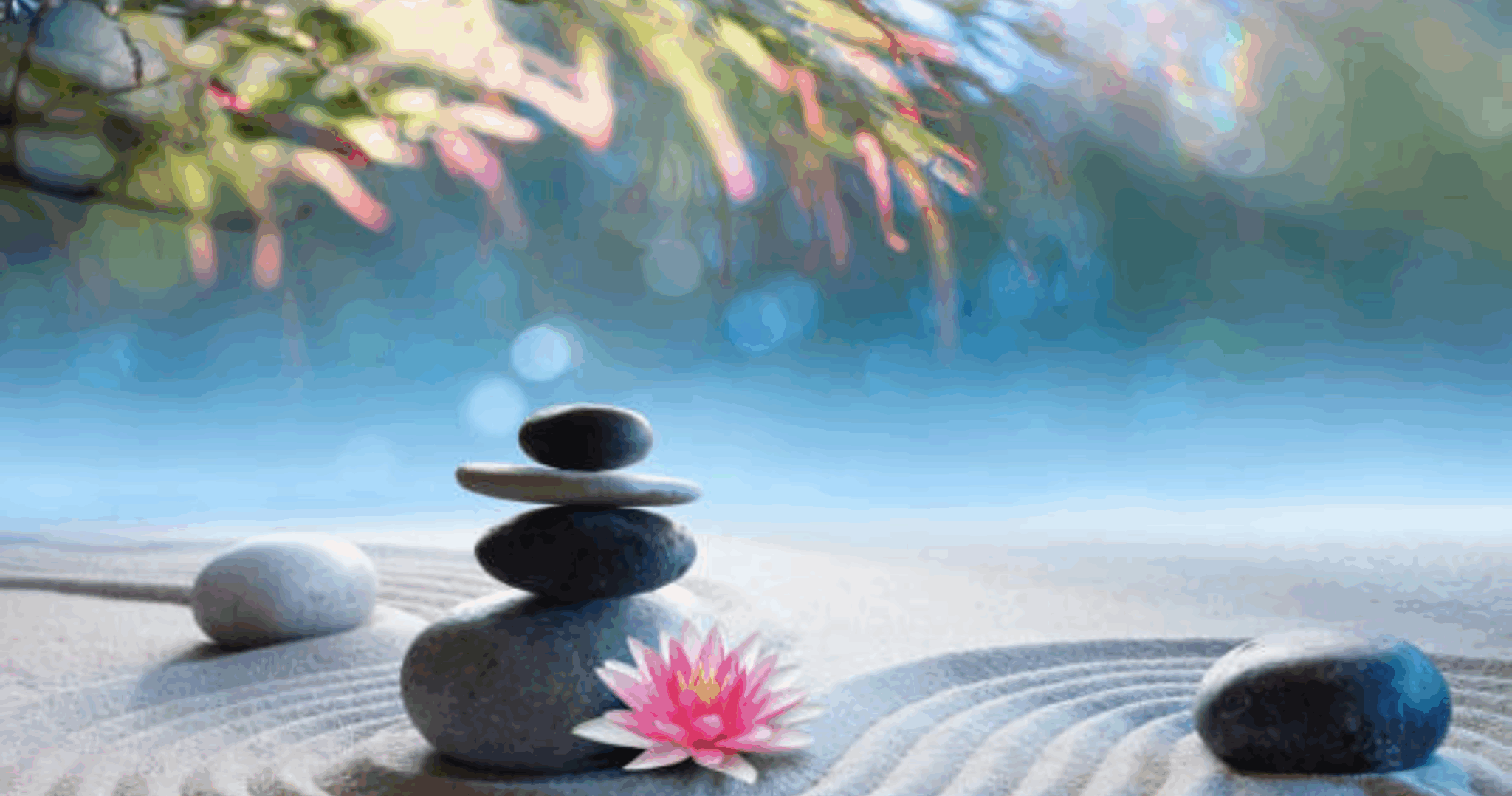 principes de vie japonaise couv